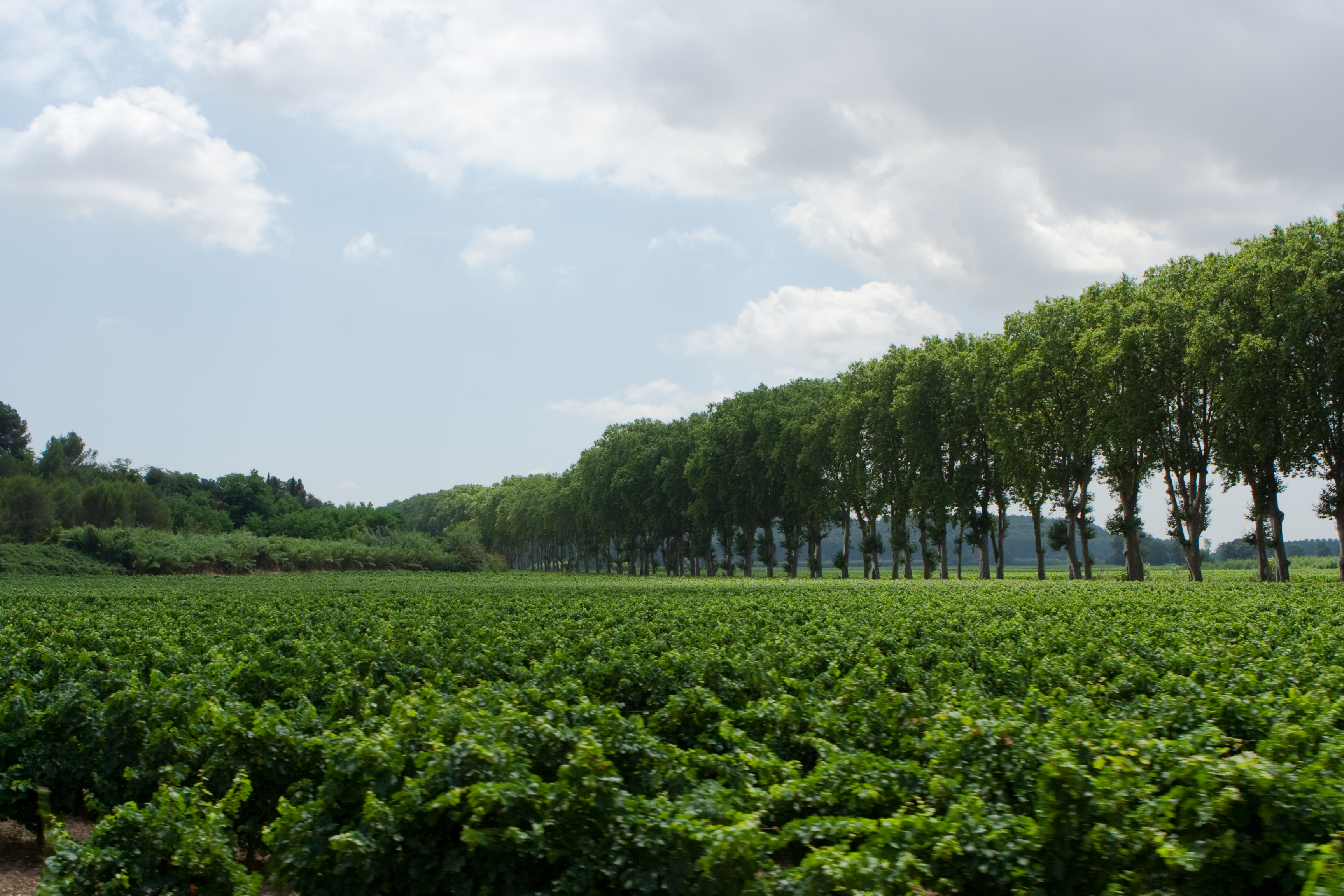 vakantie 2009 ontdekkingsreis-019.jpg